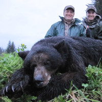 Alaska Black Bear Hunts