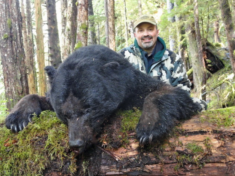 Coastal Alaska Black Bear Hunts